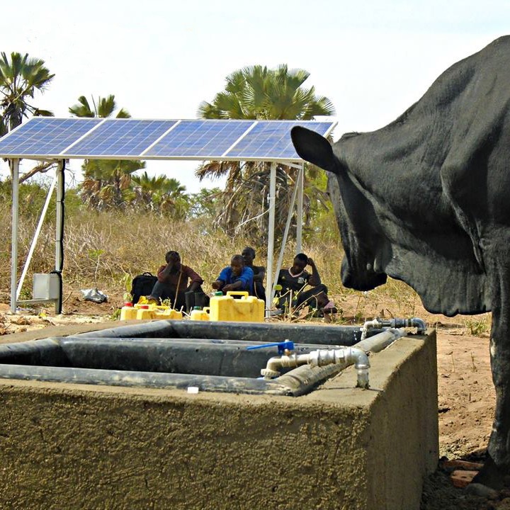 Husbandry water supply in Uganda